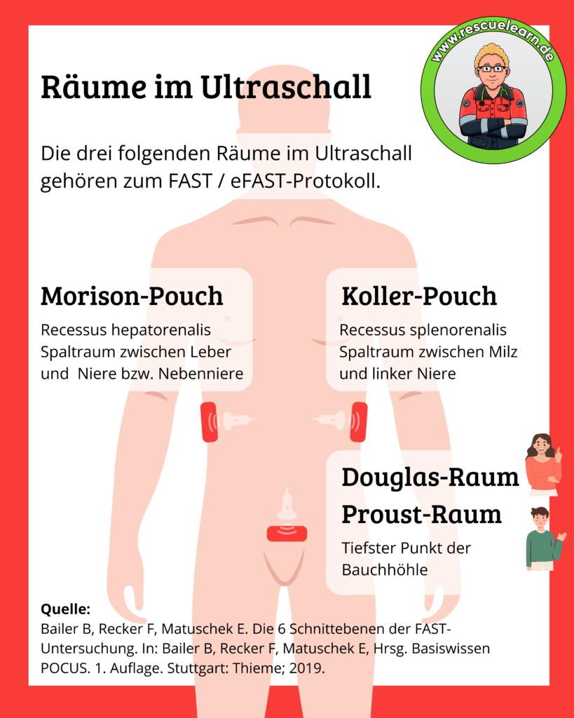 Anatomische Räume im Ultraschall